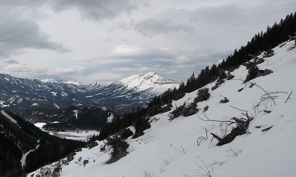 Panorama Ötscher